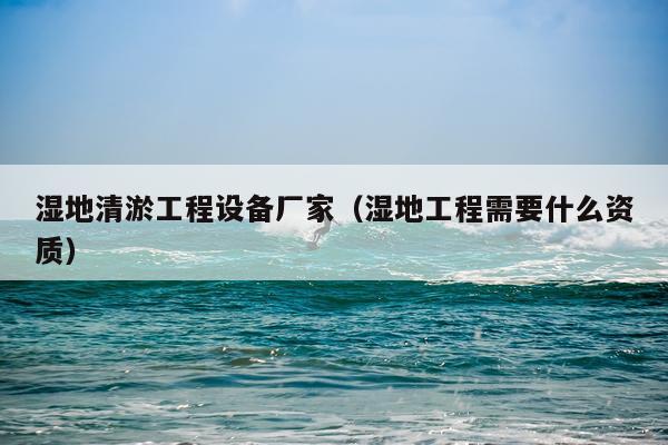 湿地清淤工程设备厂家（湿地工程需要什么资质）