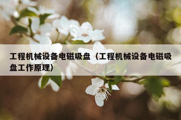 工程机械设备电磁吸盘（工程机械设备电磁吸盘工作原理）
