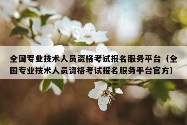 全国专业技术人员资格考试报名服务平台（全国专业技术人员资格考试报名服务平台官方）