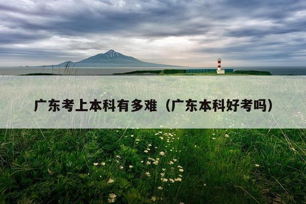 广东考上本科有多难(广东本科好考吗)