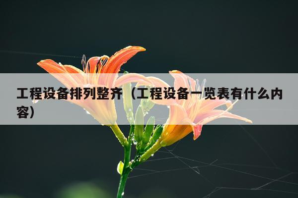 工程设备排列整齐(工程设备一览表有什么内容)