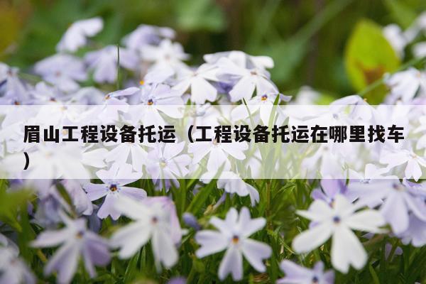 眉山工程设备托运（工程设备托运在哪里找车）