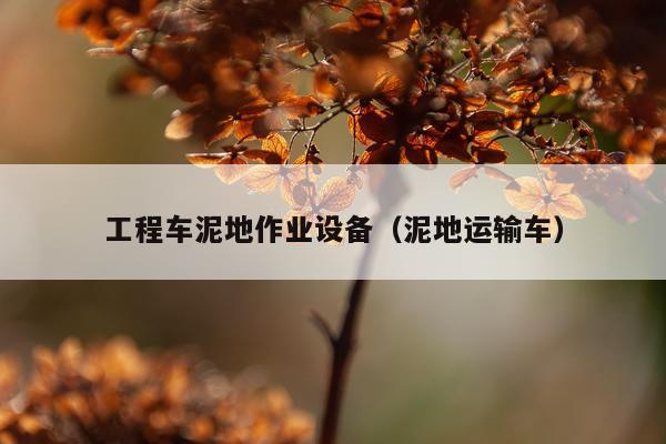 工程车泥地作业设备（泥地运输车）