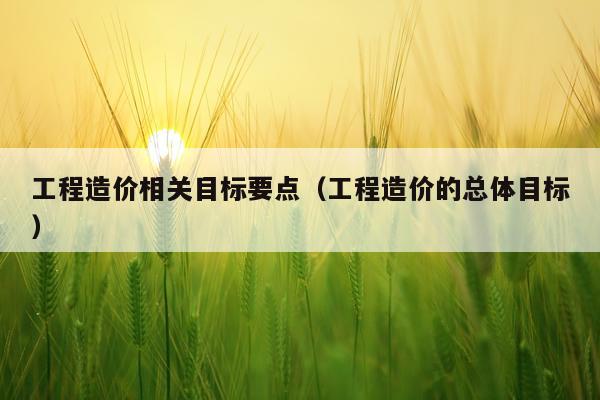 工程造价相关目标要点（工程造价的总体目标）