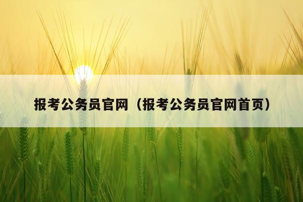 报考公务员官网(报考公务员官网首页)