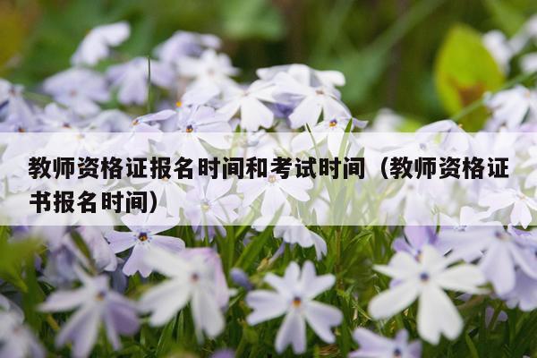 教师资格证报名时间和考试时间（教师资格证书报名时间）