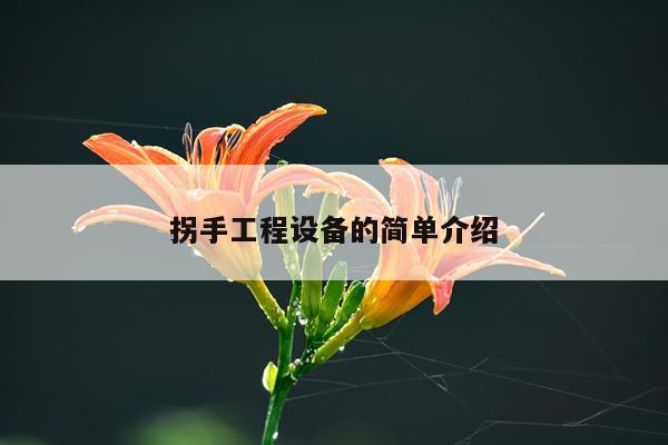 拐手工程设备的简单介绍