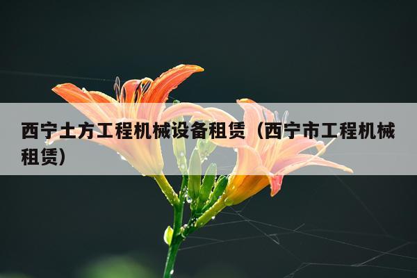 西宁土方工程机械设备租赁（西宁市工程机械租赁）