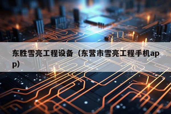 东胜雪亮工程设备（东营市雪亮工程手机app）