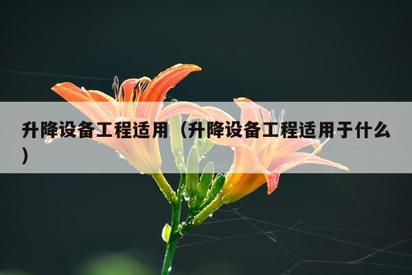 升降设备工程适用(升降设备工程适用于什么)