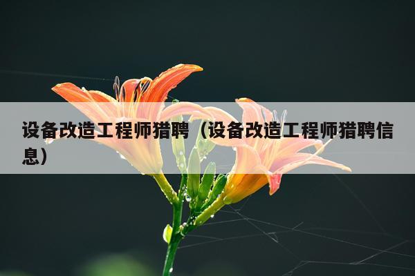 设备改造工程师猎聘（设备改造工程师猎聘信息）