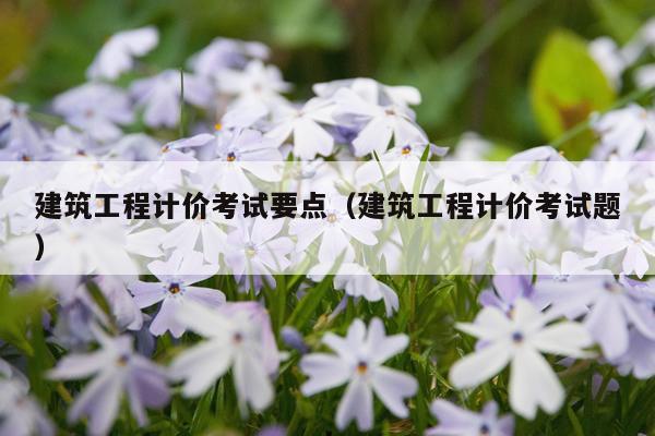 建筑工程计价考试要点（建筑工程计价考试题）