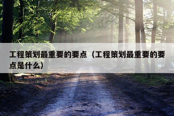 工程策划最重要的要点（工程策划最重要的要点是什么）