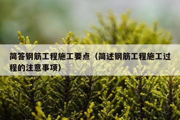 简答钢筋工程施工要点（简述钢筋工程施工过程的注意事项）