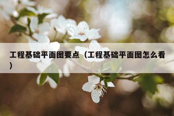 工程基础平面图要点（工程基础平面图怎么看）