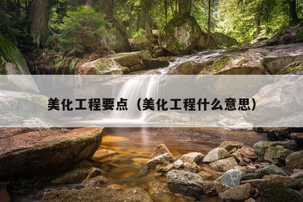 美化工程要点（美化工程什么意思）