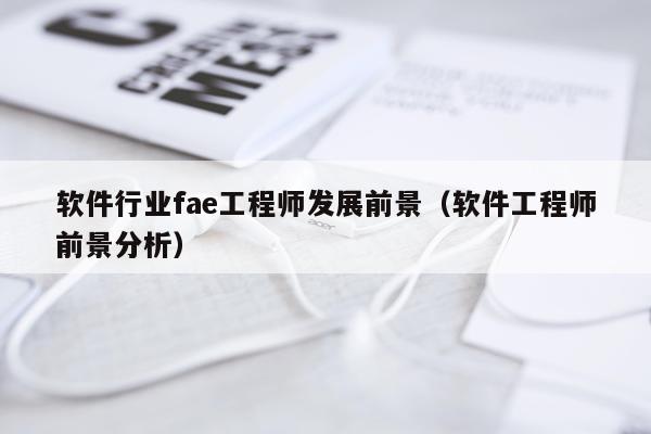 软件行业fae工程师发展前景(软件工程师前景分析)