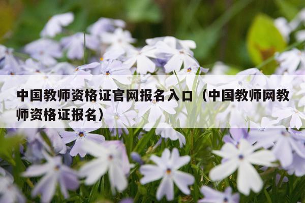 中国教师资格证官网报名入口（中国教师网教师资格证报名）