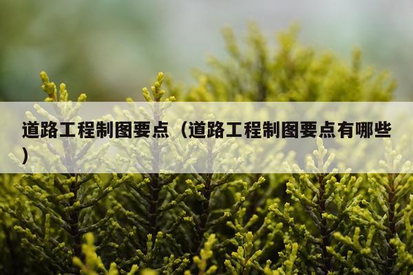 道路工程制图要点（道路工程制图要点有哪些）