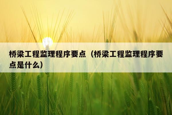 桥梁工程监理程序要点(桥梁工程监理程序要点是什么)
