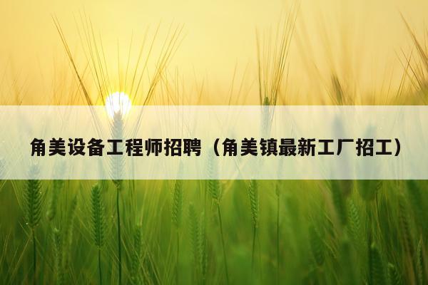 角美设备工程师招聘(角美镇最新工厂招工)