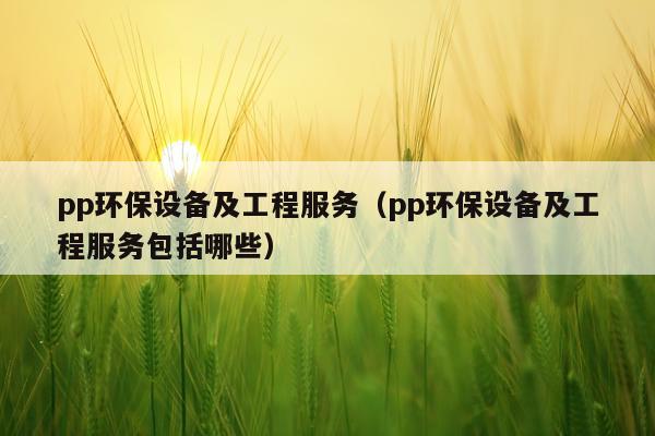 pp环保设备及工程服务（pp环保设备及工程服务包括哪些）
