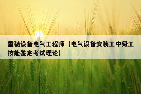 重装设备电气工程师（电气设备安装工中级工技能鉴定考试理论）