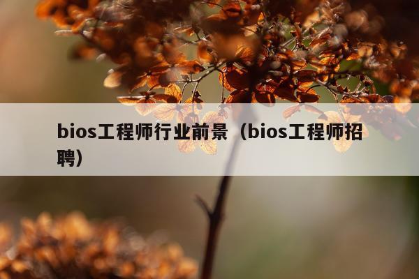 bios工程师行业前景（bios工程师招聘）
