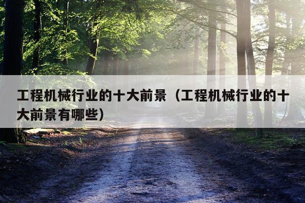 工程机械行业的十大前景（工程机械行业的十大前景有哪些）