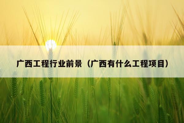 广西工程行业前景（广西有什么工程项目）