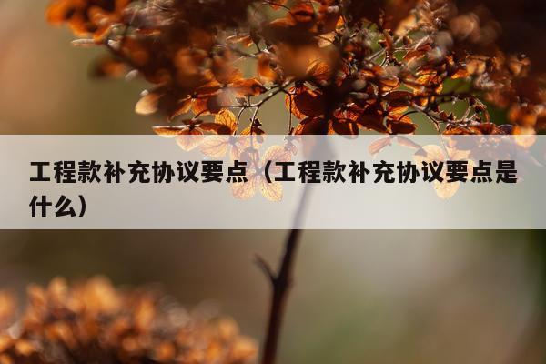 工程款补充协议要点（工程款补充协议要点是什么）