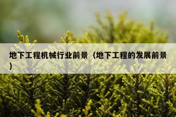 地下工程机械行业前景（地下工程的发展前景）
