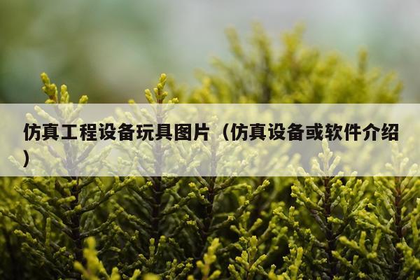仿真工程设备玩具图片（仿真设备或软件介绍）