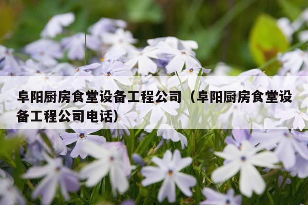 阜阳厨房食堂设备工程公司（阜阳厨房食堂设备工程公司电话）