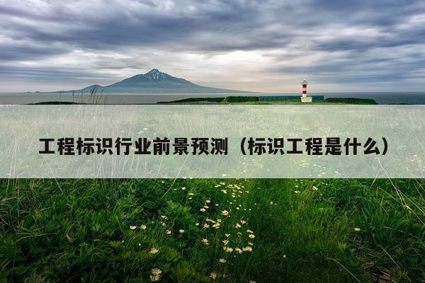 工程标识行业前景预测（标识工程是什么）