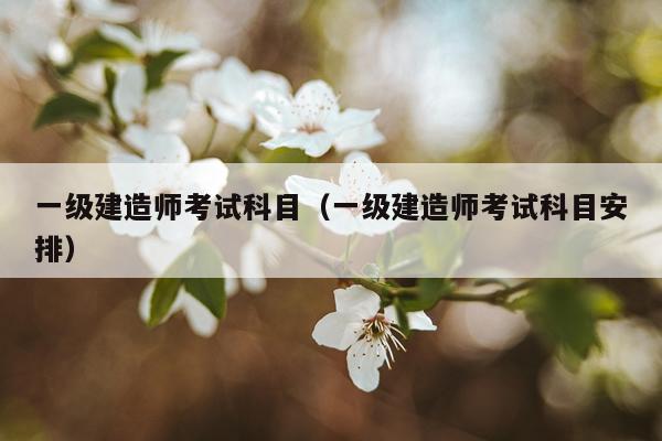 一级建造师考试科目（一级建造师考试科目安排）