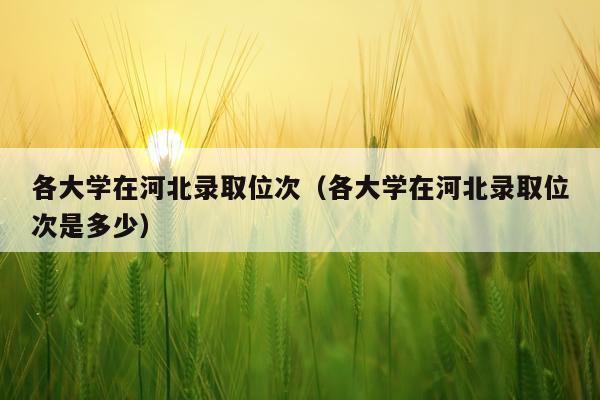 各大学在河北录取位次（各大学在河北录取位次是多少）
