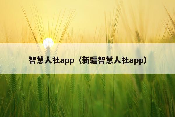 智慧人社app（新疆智慧人社app）