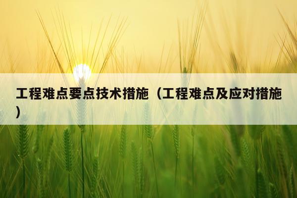 工程难点要点技术措施（工程难点及应对措施）