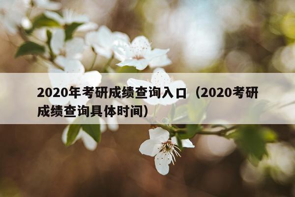 2020年考研成绩查询入口（2020考研成绩查询具体时间）
