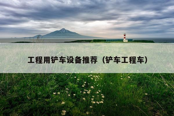 工程用铲车设备推荐（铲车工程车）