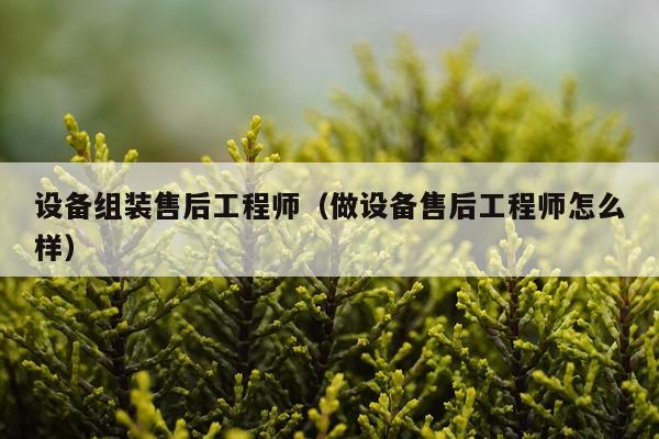 设备组装售后工程师（做设备售后工程师怎么样）
