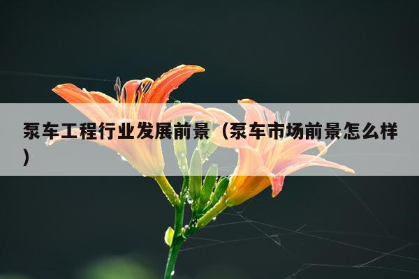 泵车工程行业发展前景(泵车市场前景怎么样)