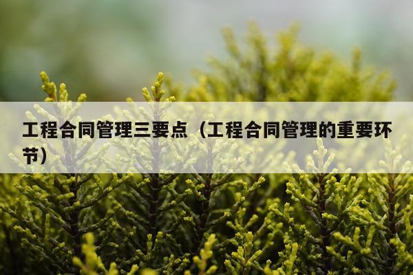 工程合同管理三要点（工程合同管理的重要环节）
