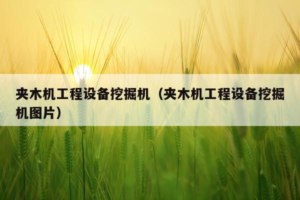夹木机工程设备挖掘机（夹木机工程设备挖掘机图片）