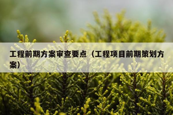 工程前期方案审查要点（工程项目前期策划方案）