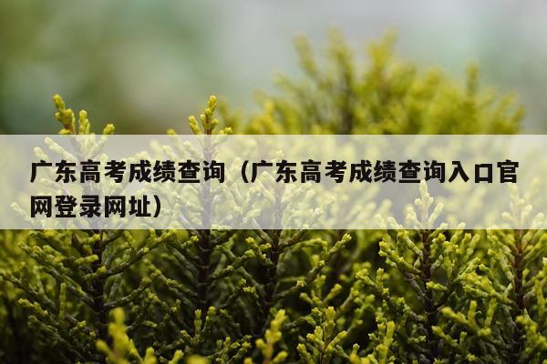 广东高考成绩查询（广东高考成绩查询入口官网登录网址）