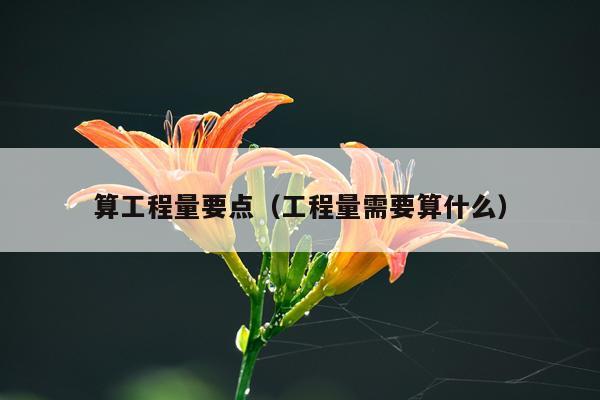 算工程量要点（工程量需要算什么）