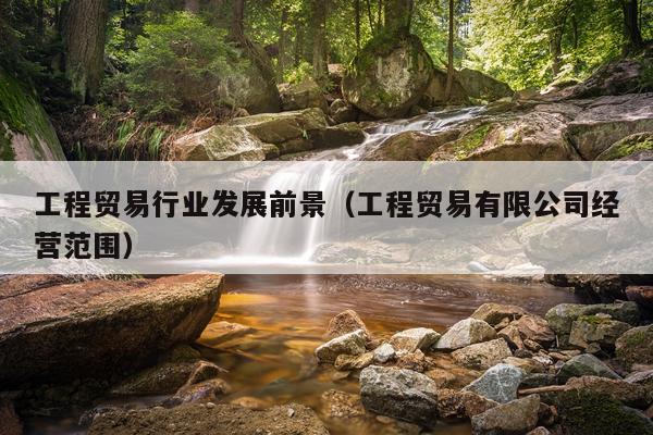 工程贸易行业发展前景（工程贸易有限公司经营范围）