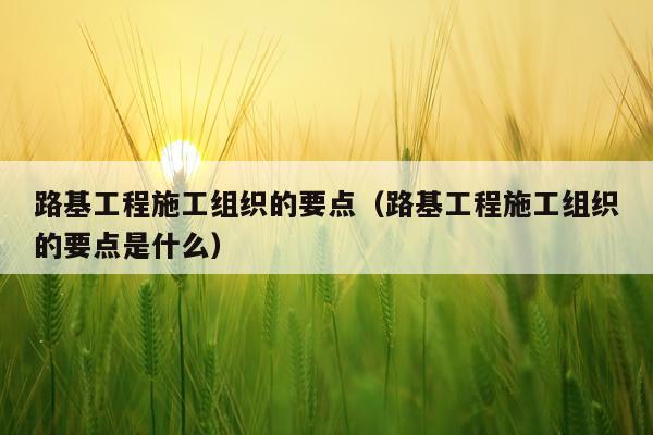 路基工程施工组织的要点(路基工程施工组织的要点是什么)